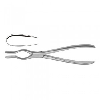 Cottle Walsham Septum Straightning Forcep Right Stainless Steel 23 Cm 9