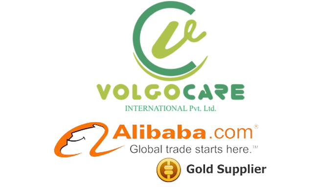 Volgo Care International 